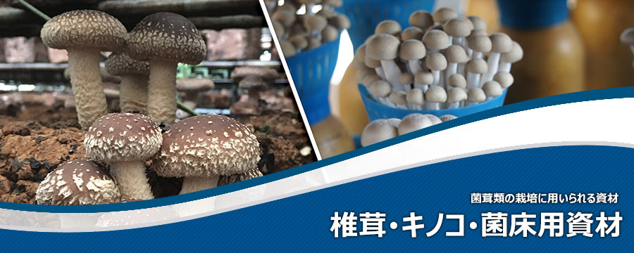 椎茸･キノコ･菌床用資材